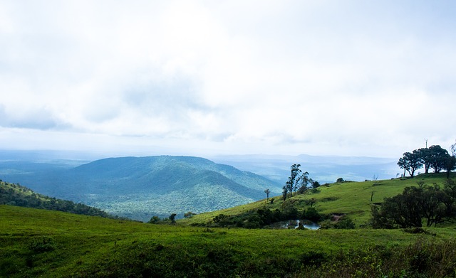 范曼城